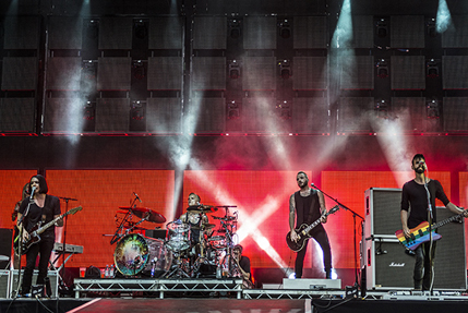 the wombats